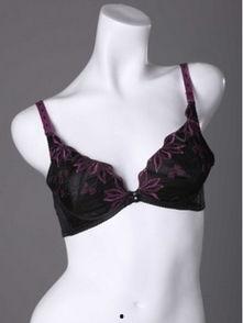 欧美性感内衣文胸图片,性感内衣文胸潮流盘点